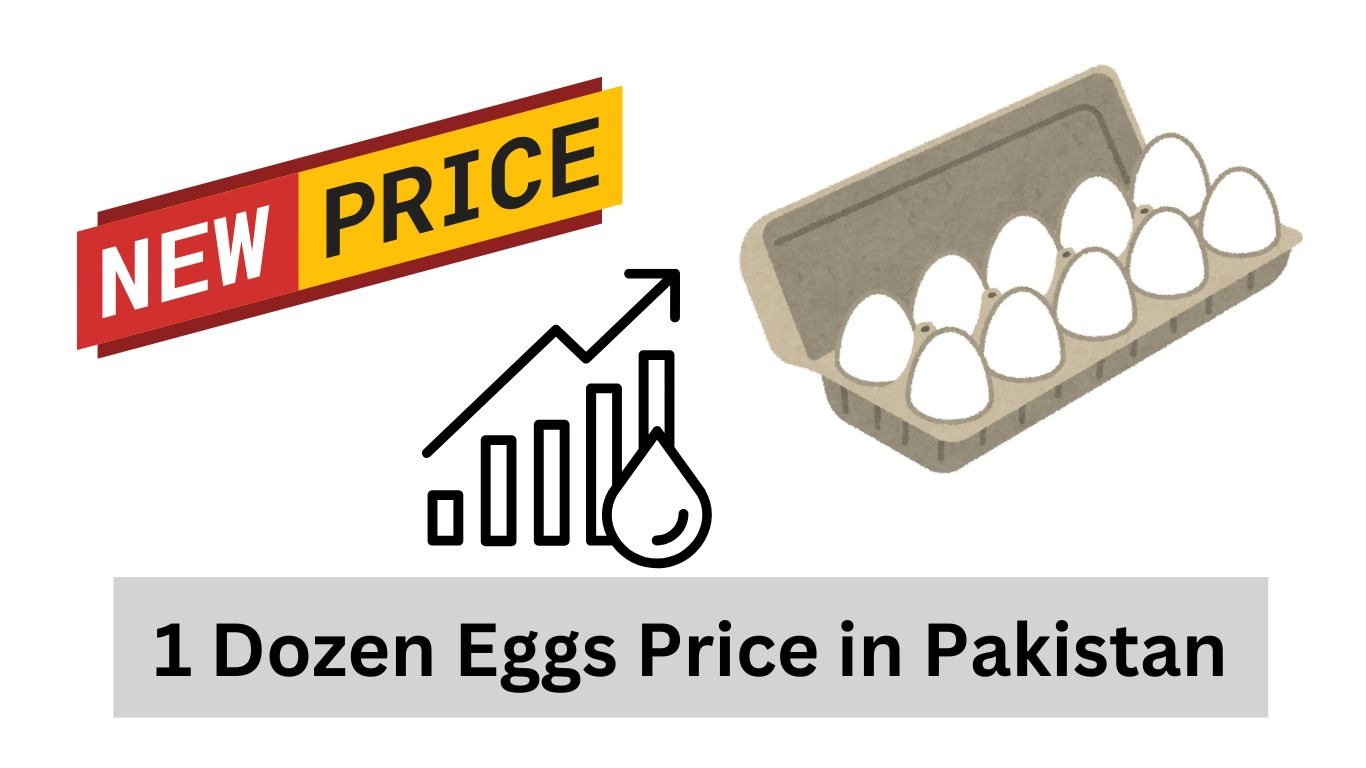 1 Dozen Eggs Price in Pakistan Today