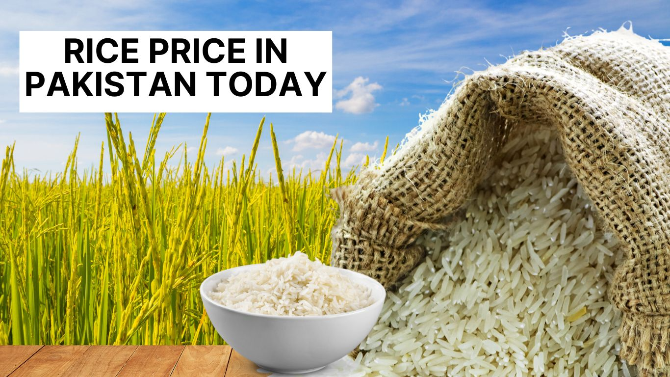 Rice Rate in Pakistan