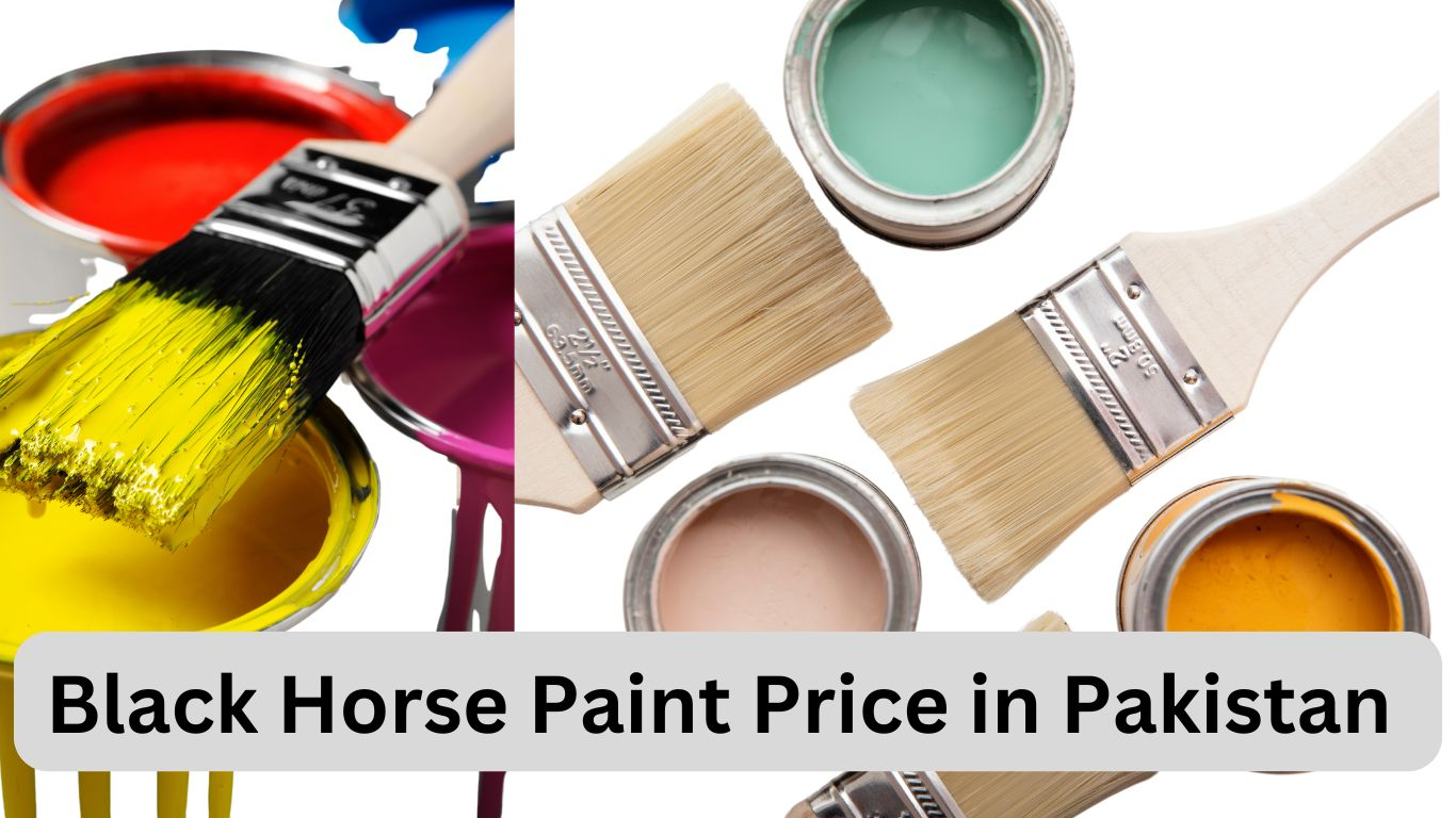 black-horse-paint-price-in-pakistan-2025-price-waly