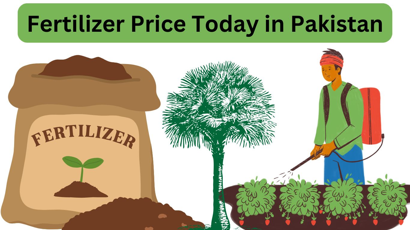 Fertilizer Price Today in Pakistan